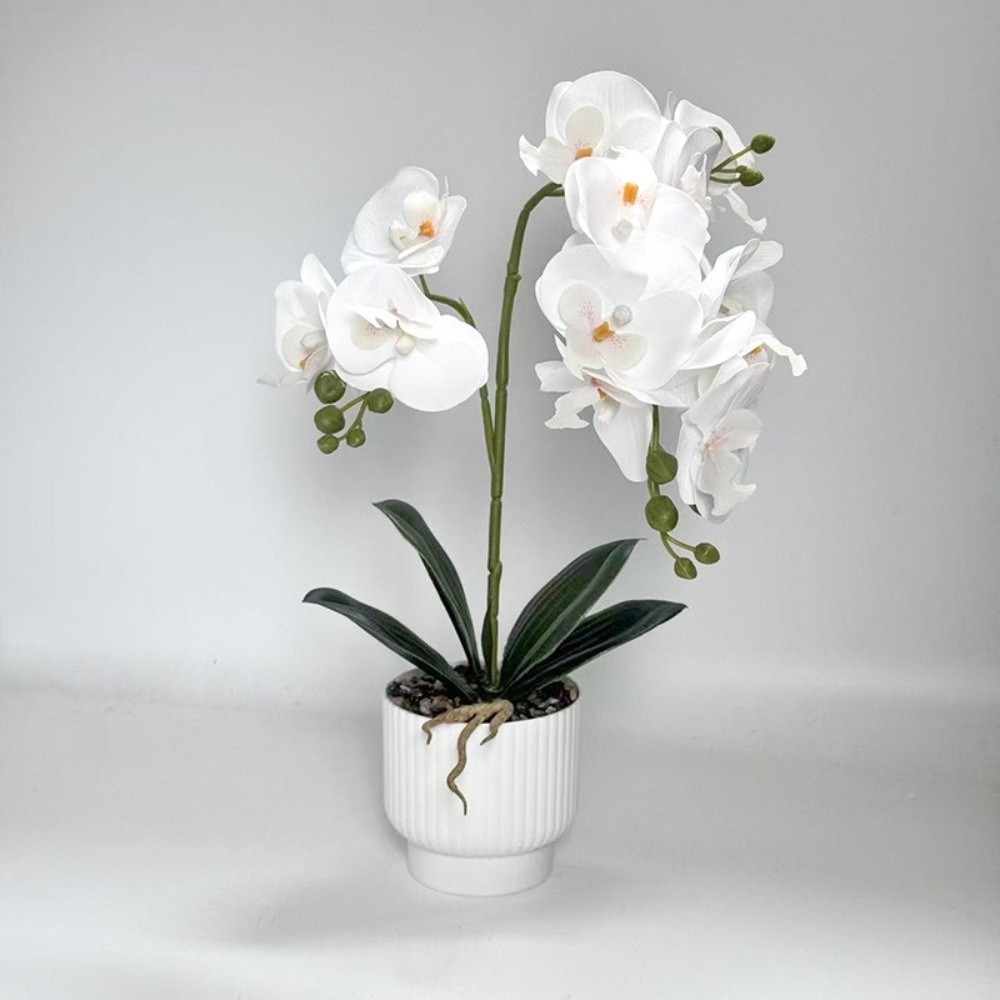 Multi-Bloom Simulated Butterfl - Orchid Phalaenopsis review and price