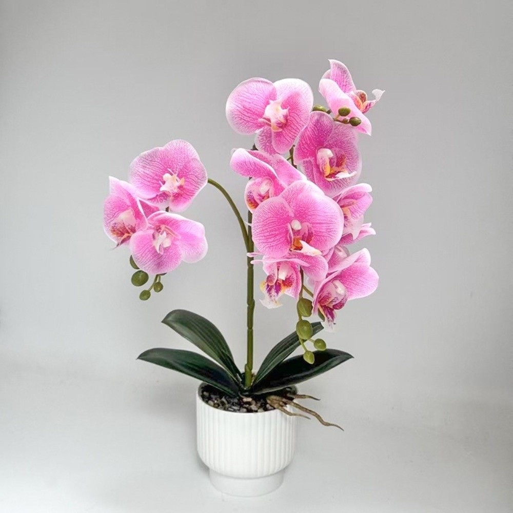 Multi-Bloom Simulated Butterfl - Orchid Phalaenopsis review and price