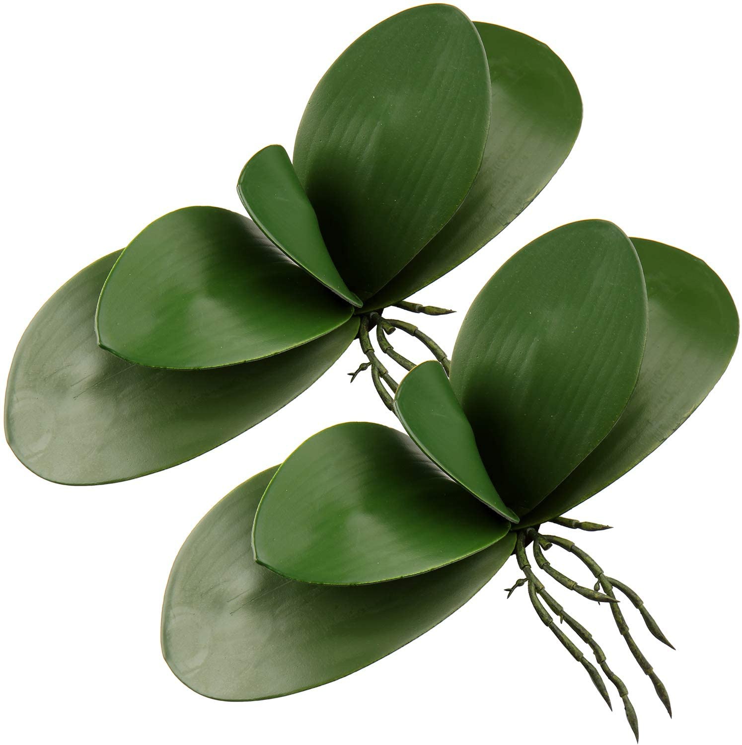 Artificial Phalaenopsis Leaves - Orchid Phalaenopsis review and price
