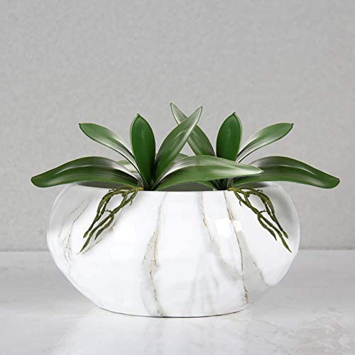 Artificial Phalaenopsis Leaves - Orchid Phalaenopsis review and price