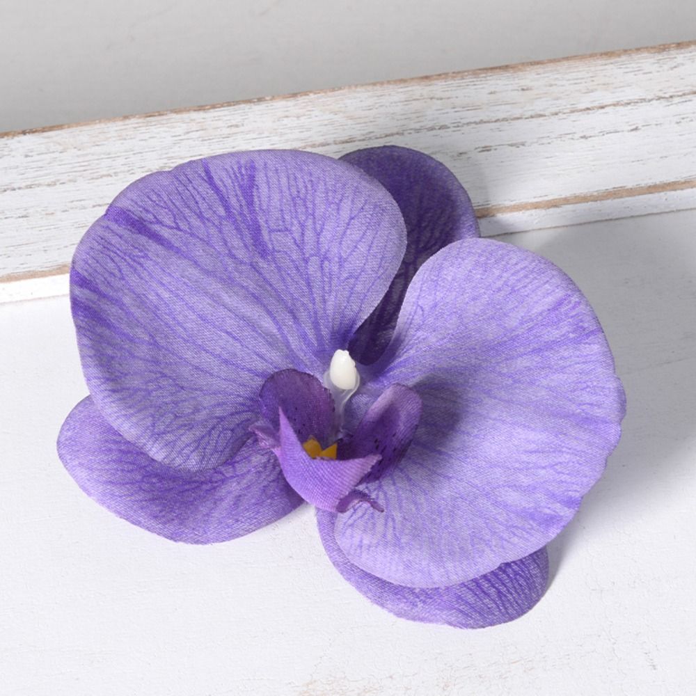 DIY Phalaenopsis Flower Head H - Orchid Phalaenopsis review and price