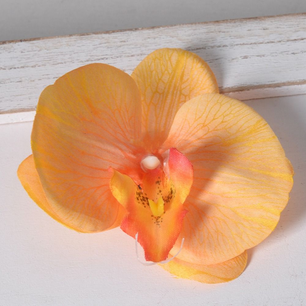 DIY Phalaenopsis Flower Head H - Orchid Phalaenopsis review and price