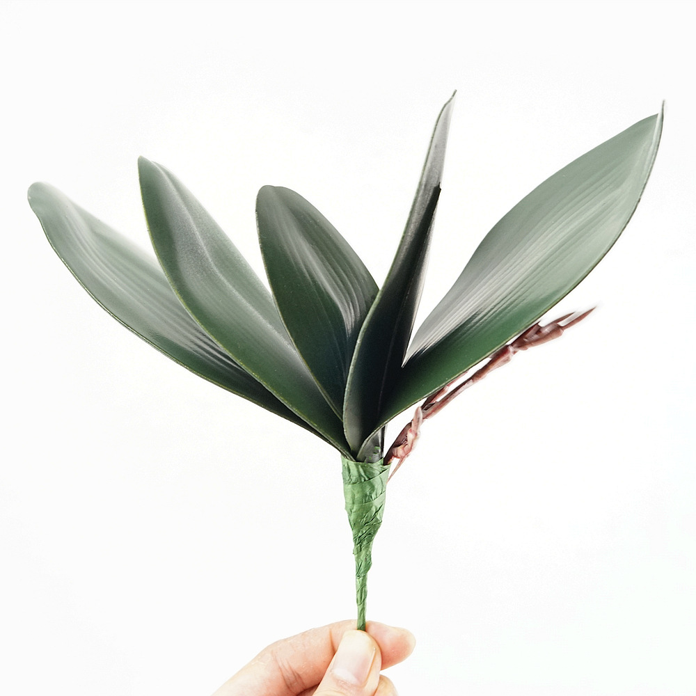 3pc Eva Simulation Phalaenopsi - Orchid Phalaenopsis review and price