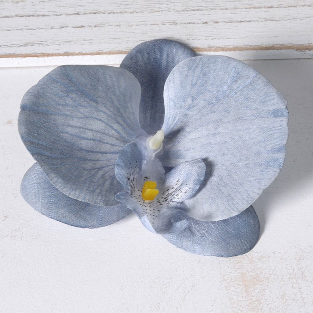 DIY Phalaenopsis Flower Head 1 - Orchid Phalaenopsis review and price