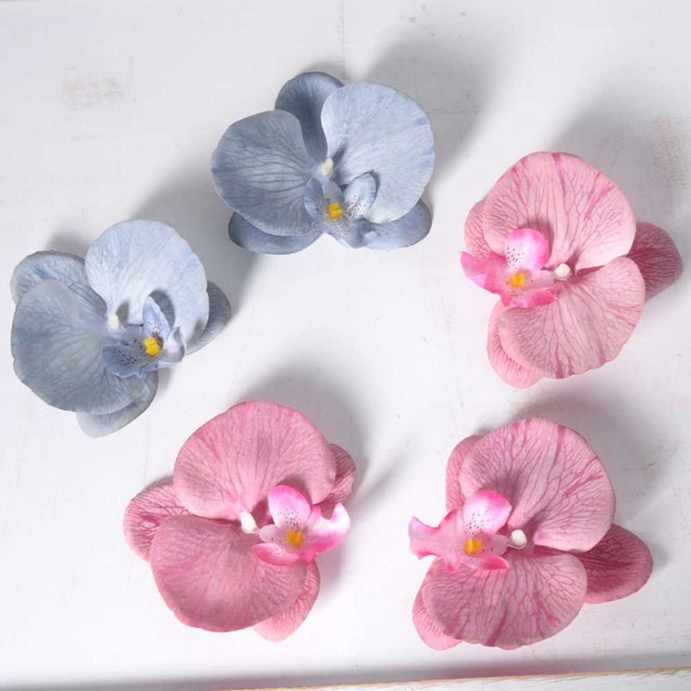 DIY Phalaenopsis Flower Head 1 - Orchid Phalaenopsis review and price