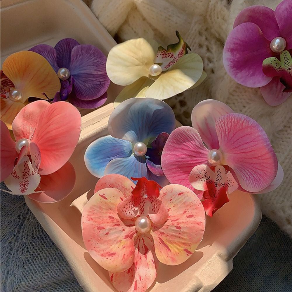 1Pcs Duckbill Clip Orchid Butt - Orchid Phalaenopsis review and price