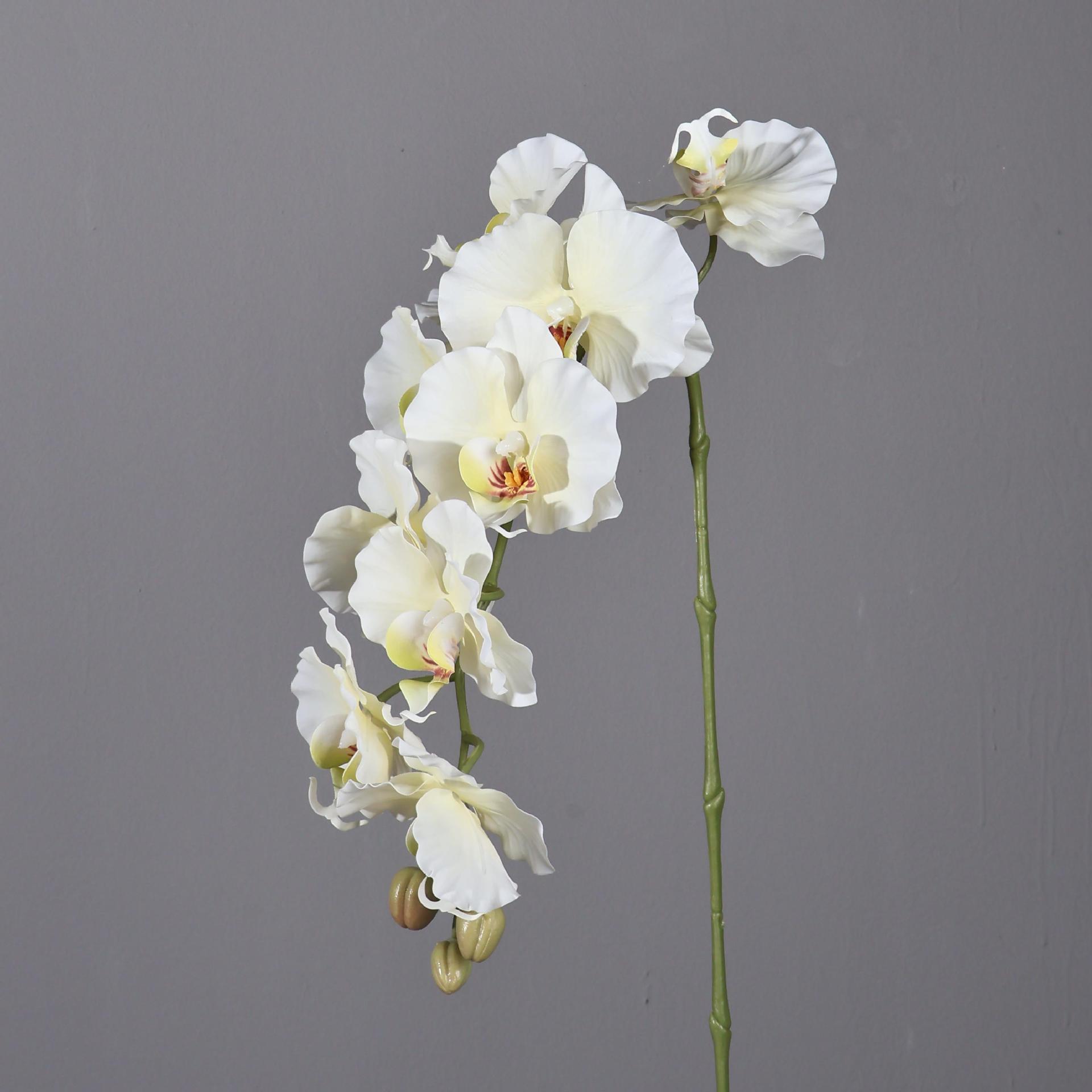 38.6 Inch 9 Heads Korean Style - Orchid Phalaenopsis review and price