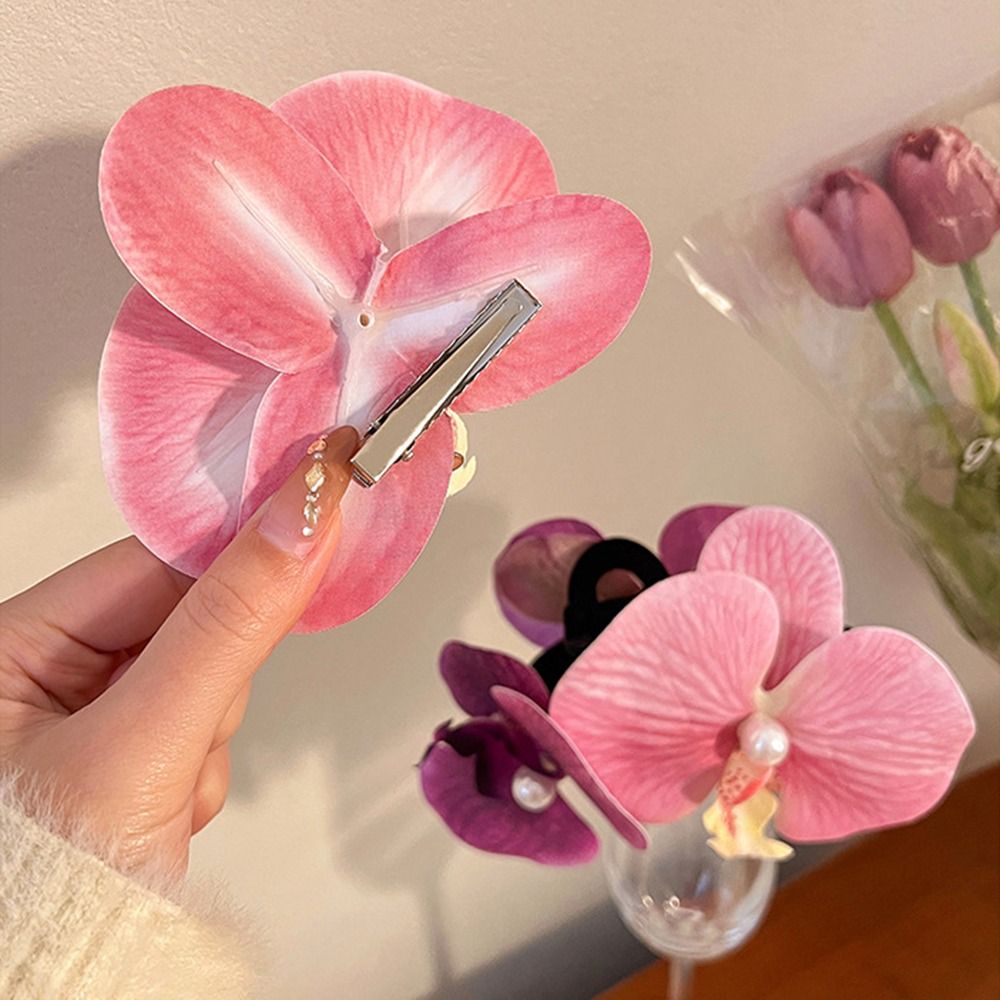 1Pcs Phalaenopsis Pearl Hair C - Orchid Phalaenopsis review and price